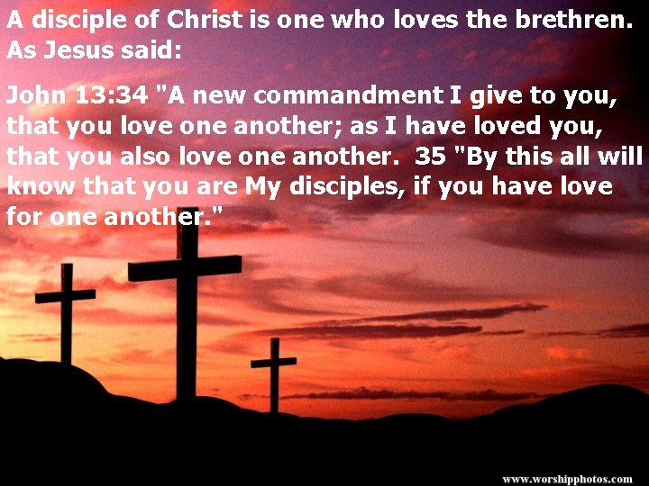 A disciple of Christ is one who loves the brethren. As Jesus said: John