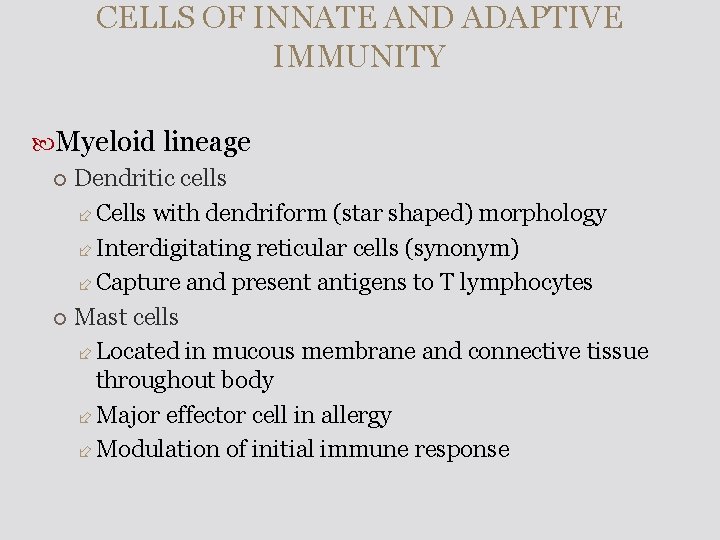 CELLS OF INNATE AND ADAPTIVE IMMUNITY Myeloid lineage Dendritic cells Cells with dendriform (star