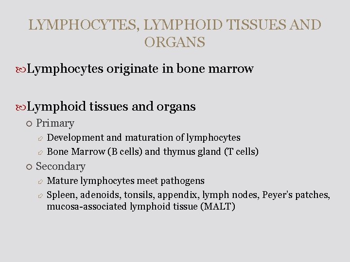 LYMPHOCYTES, LYMPHOID TISSUES AND ORGANS Lymphocytes originate in bone marrow Lymphoid tissues and organs