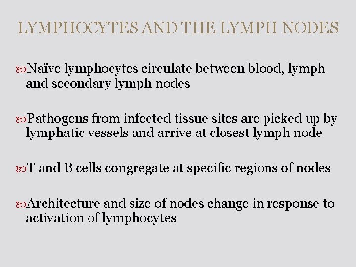 LYMPHOCYTES AND THE LYMPH NODES Naïve lymphocytes circulate between blood, lymph and secondary lymph