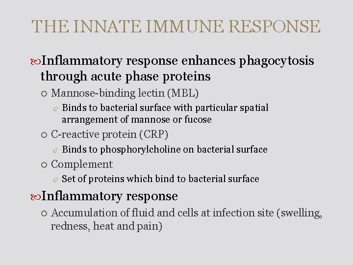 THE INNATE IMMUNE RESPONSE Inflammatory response enhances phagocytosis through acute phase proteins Mannose-binding lectin