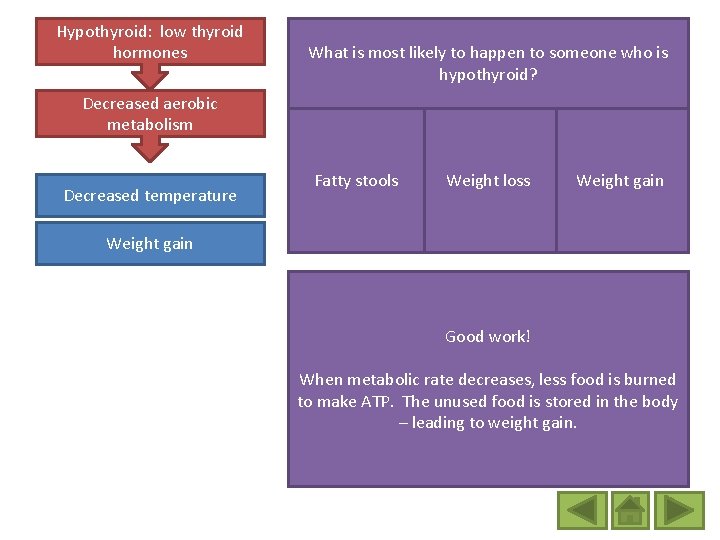 Hypothyroid: low thyroid hormones What is most likely to happen to someone who is