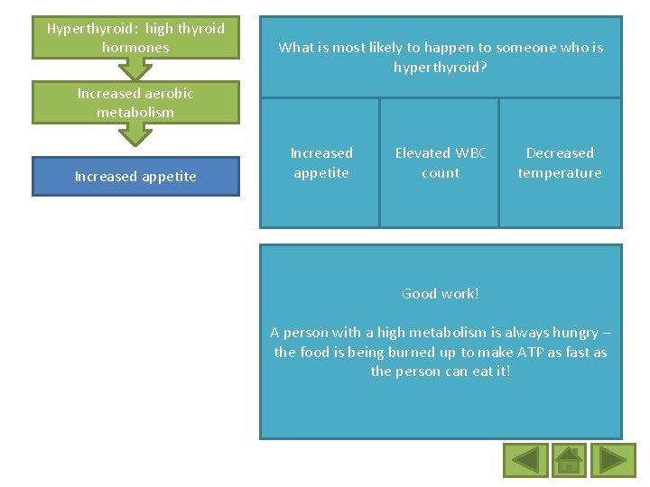 Hyperthyroid: high thyroid hormones What is most likely to happen to someone who is