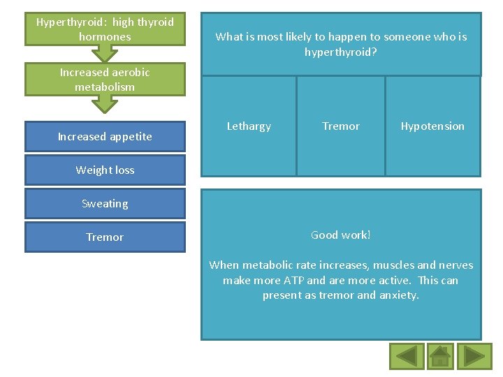 Hyperthyroid: high thyroid hormones What is most likely to happen to someone who is