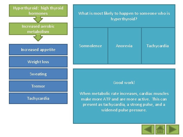 Hyperthyroid: high thyroid hormones What is most likely to happen to someone who is