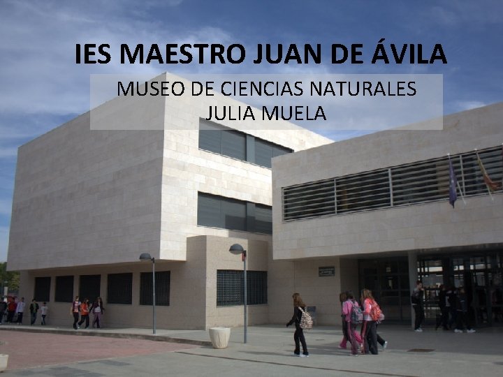 IES MAESTRO JUAN DE ÁVILA MUSEO DE CIENCIAS NATURALES JULIA MUELA 