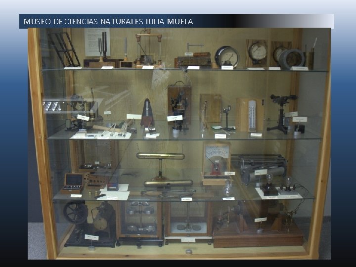 MUSEO DE CIENCIAS NATURALES JULIA MUELA 