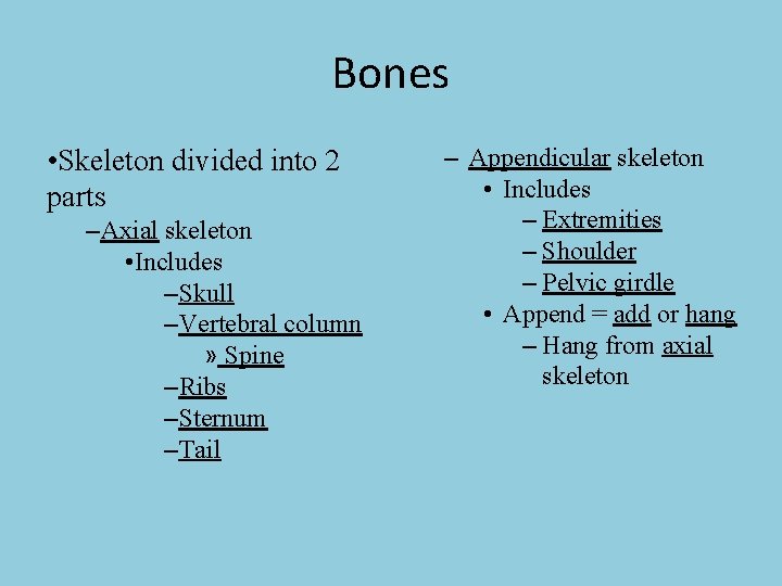 Bones • Skeleton divided into 2 parts –Axial skeleton • Includes –Skull –Vertebral column