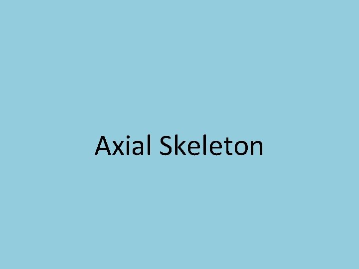 Axial Skeleton 