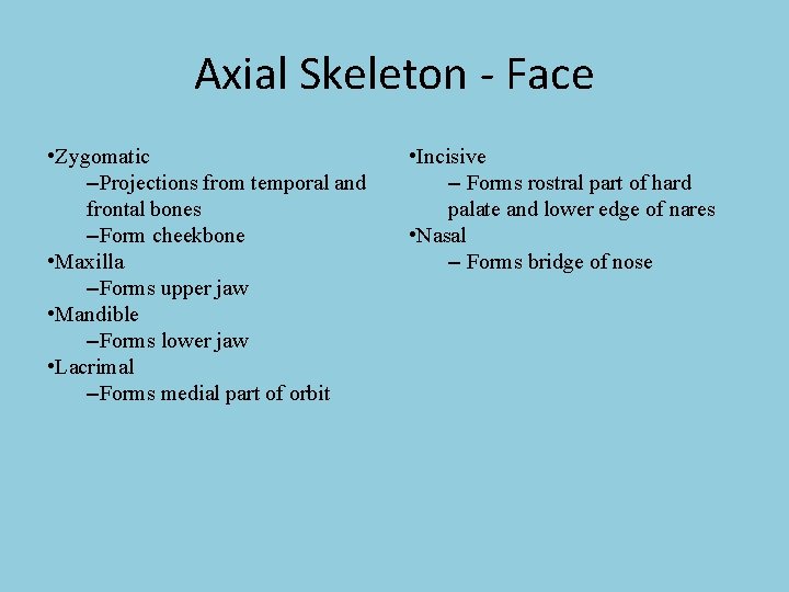 Axial Skeleton - Face • Zygomatic –Projections from temporal and frontal bones –Form cheekbone