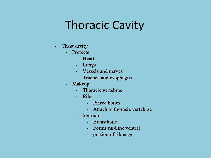 Thoracic Cavity - Chest cavity - Protects - Heart - Lungs - Vessels and