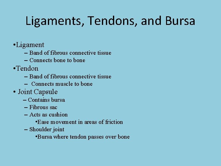 Ligaments, Tendons, and Bursa • Ligament – Band of fibrous connective tissue – Connects