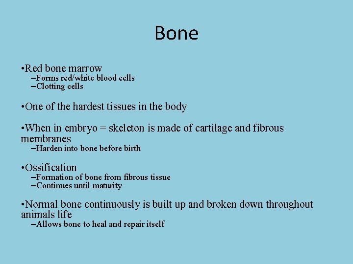 Bone • Red bone marrow –Forms red/white blood cells –Clotting cells • One of