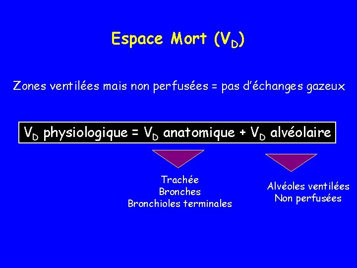 Espace Mort (VD) Zones ventilées mais non perfusées = pas d’échanges gazeux VD physiologique