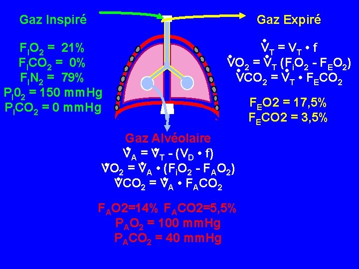 Gaz Inspiré Gaz Expiré FIO 2 = 21% FICO 2 = 0% FIN 2