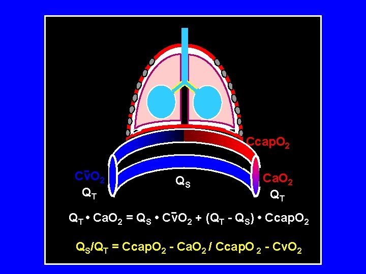 Ccap. O 2 Cv. O 2 QT QS Ca. O 2 QT QT •