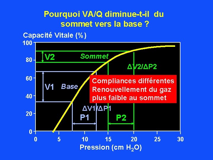 Pourquoi VA/Q diminue-t-il du sommet vers la base ? Capacité Vitale (%) 100 Sommet