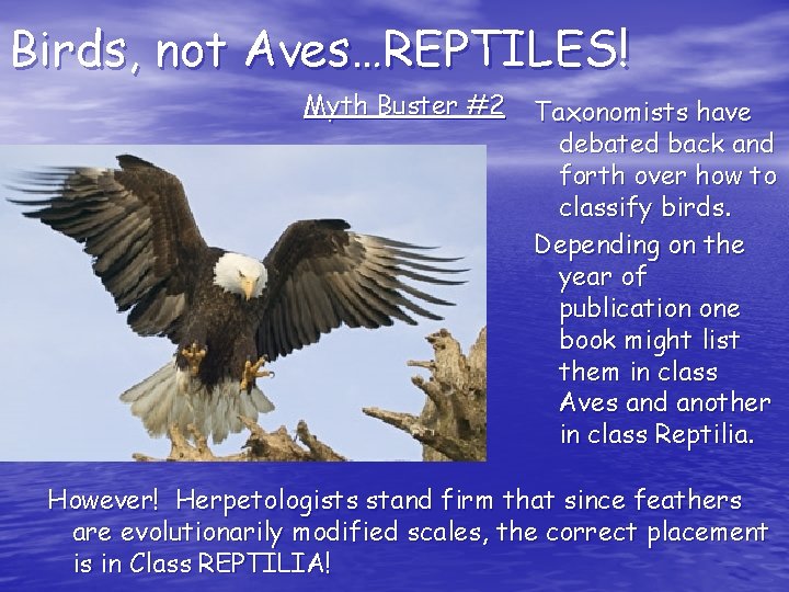 Birds, not Aves…REPTILES! Myth Buster #2 Taxonomists have debated back and forth over how Birds, not Aves…REPTILES! Myth Buster #2 Taxonomists have debated back and forth over how