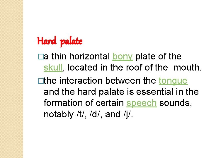 Hard palate �a thin horizontal bony plate of the skull, located in the roof