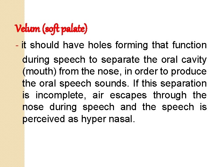 Velum (soft palate) - it should have holes forming that function during speech to