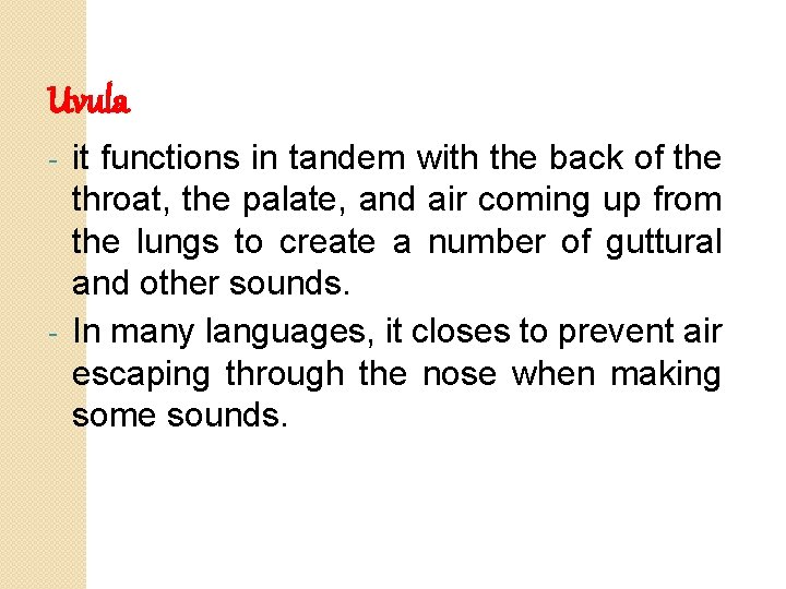 Uvula it functions in tandem with the back of the throat, the palate, and