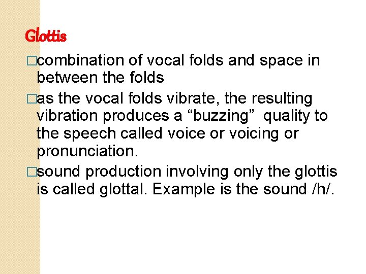 Glottis �combination of vocal folds and space in between the folds �as the vocal
