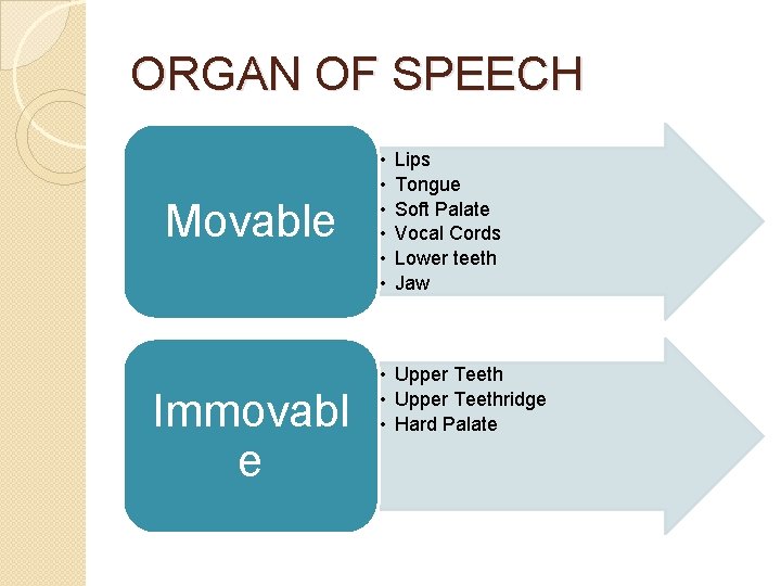ORGAN OF SPEECH Movable Immovabl e • • • Lips Tongue Soft Palate Vocal