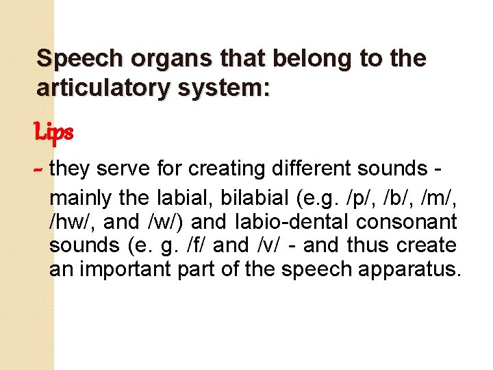 Speech organs that belong to the articulatory system: Lips - they serve for creating