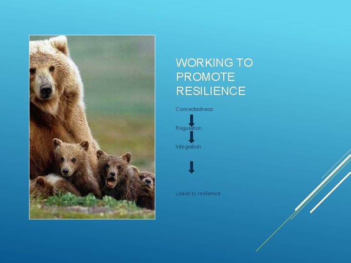 WORKING TO PROMOTE RESILIENCE Connectedness Regulation Integration Leads to resilience 