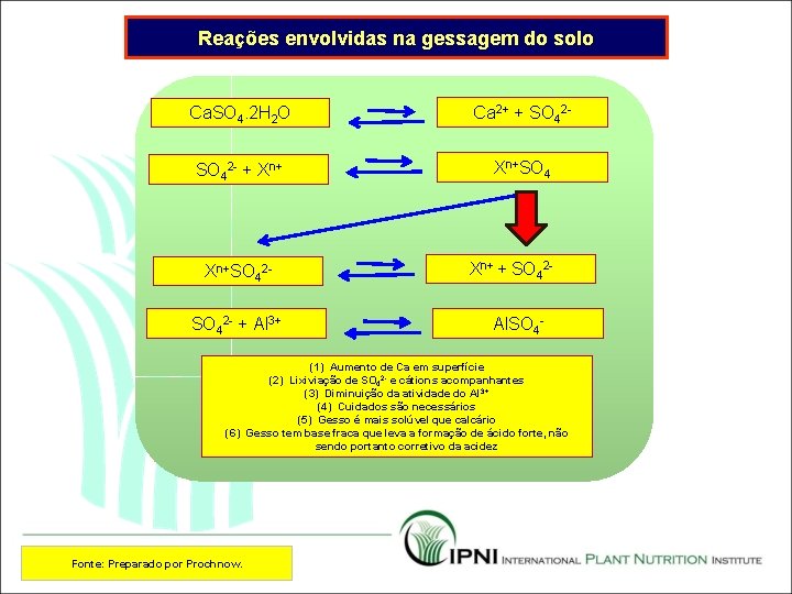 Reações envolvidas na gessagem do solo Ca. SO 4. 2 H 2 O Ca