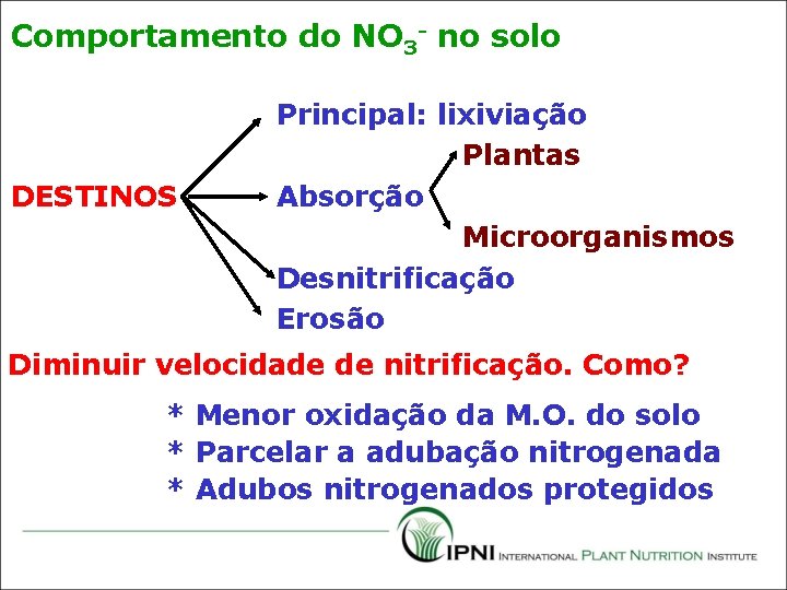 Comportamento do NO 3 - no solo DESTINOS Principal: lixiviação Plantas Absorção Microorganismos Desnitrificação