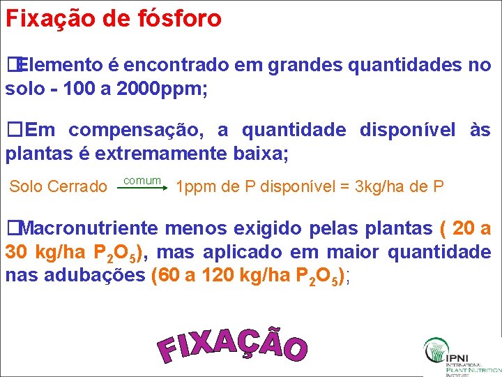 Fixação de fósforo �Elemento é encontrado em grandes quantidades no solo - 100 a