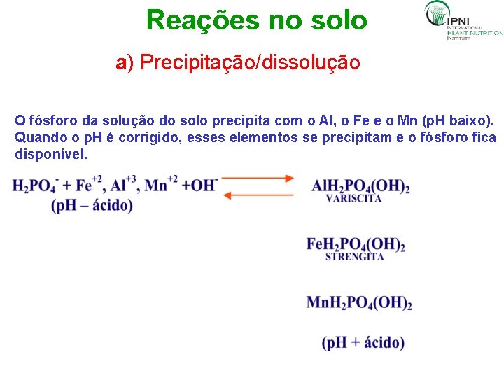 Reações no solo a) Precipitação/dissolução O fósforo da solução do solo precipita com o