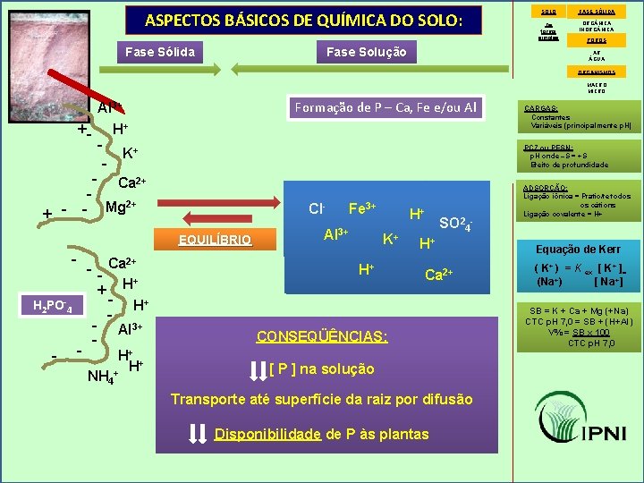 ASPECTOS BÁSICOS DE QUÍMICA DO SOLO: Fase Solução Fase Sólida SOLO FASE SÓLIDA De