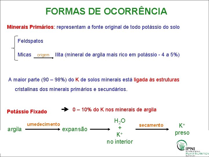 FORMAS DE OCORRÊNCIA Minerais Primários: representam a fonte original de todo potássio do solo