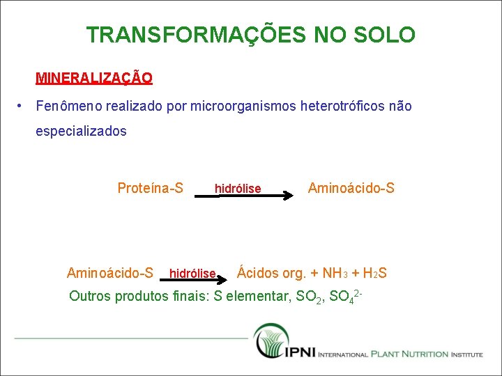 TRANSFORMAÇÕES NO SOLO MINERALIZAÇÃO • Fenômeno realizado por microorganismos heterotróficos não especializados Proteína-S Aminoácido-S