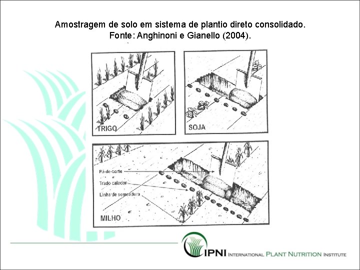 Amostragem de solo em sistema de plantio direto consolidado. Fonte: Anghinoni e Gianello (2004).