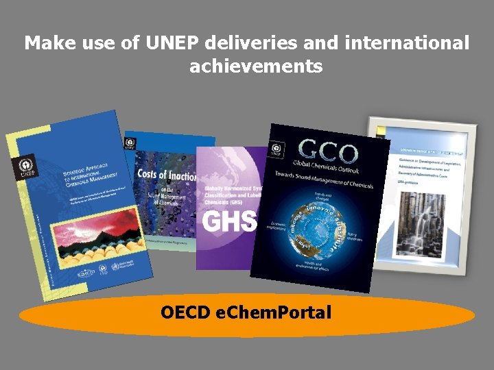 Make use of UNEP deliveries and international achievements OECD e. Chem. Portal www. kemi.