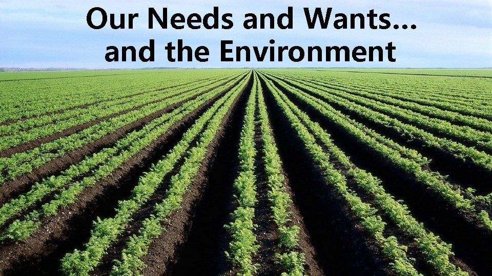 Our Needs and Wants… and the Environment 