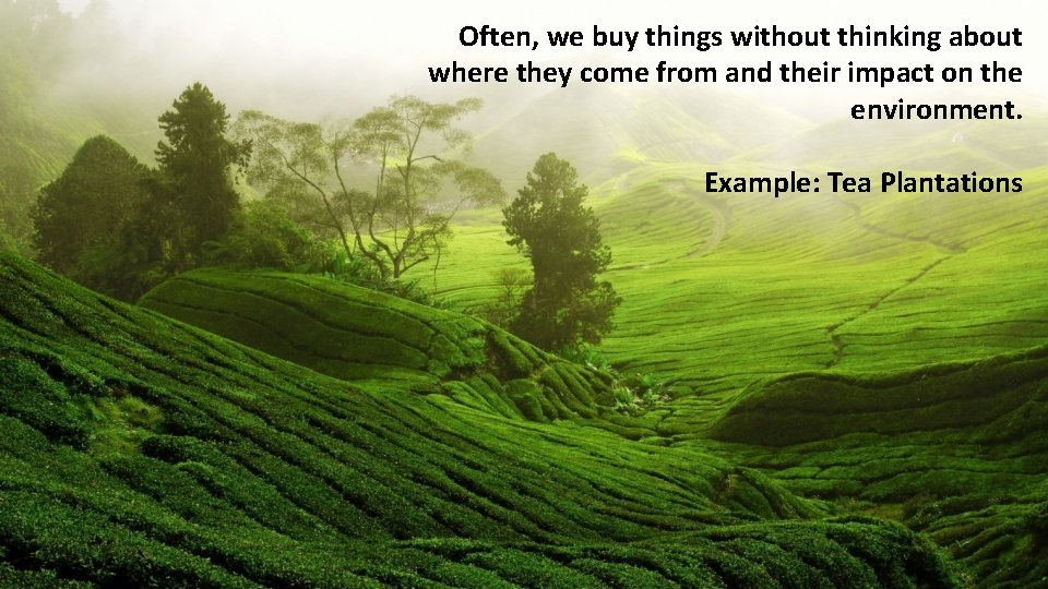 Often, we buy things without thinking about where they come from and their impact