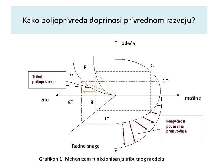 Kako poljoprivreda doprinosi privrednom razvoju? odeća C P Tribut poljoprivrede P* žita g* C*