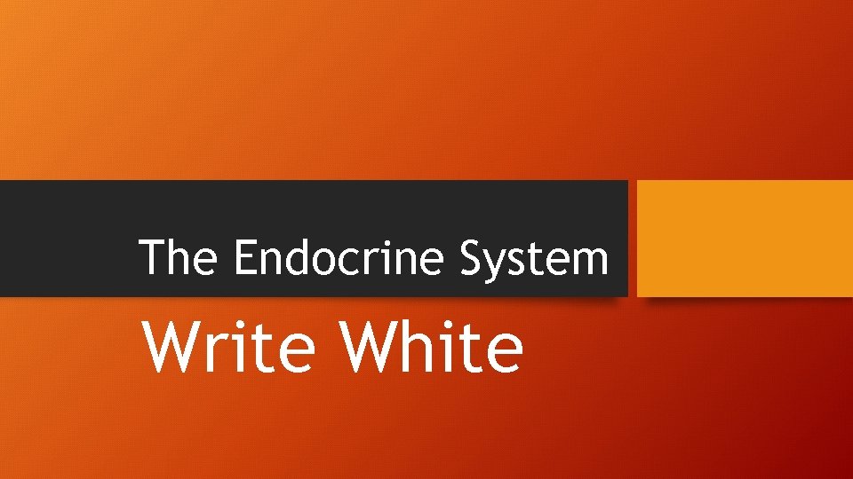 The Endocrine System Write White 