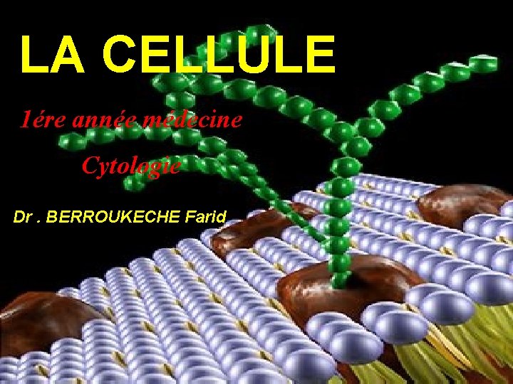 LA CELLULE 1ére année médecine Cytologie Dr. BERROUKECHE Farid 
