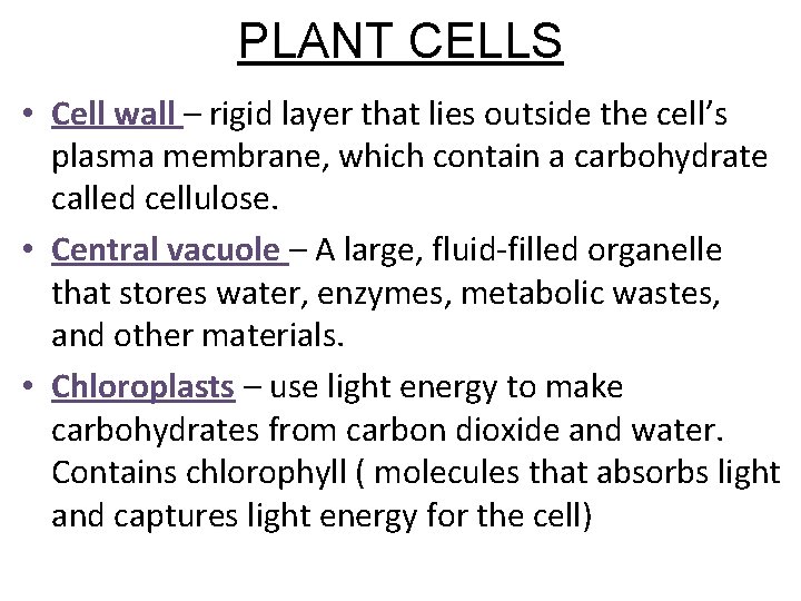 PLANT CELLS • Cell wall – rigid layer that lies outside the cell’s plasma PLANT CELLS • Cell wall – rigid layer that lies outside the cell’s plasma