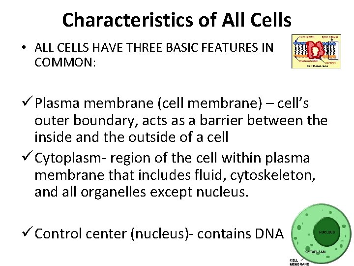 Characteristics of All Cells • ALL CELLS HAVE THREE BASIC FEATURES IN COMMON: ü Characteristics of All Cells • ALL CELLS HAVE THREE BASIC FEATURES IN COMMON: ü
