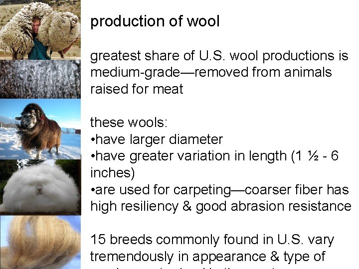 FASH 15 textiles natural protein fiberswool natural protein
