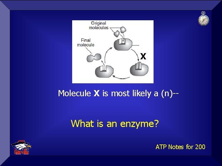 X Molecule X is most likely a (n)-- What is an enzyme? ATP Notes