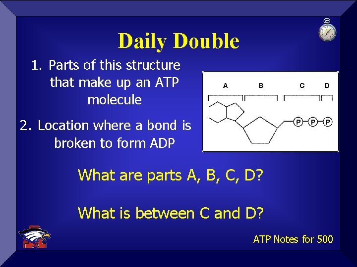 Daily Double 1. Parts of this structure that make up an ATP molecule 2.