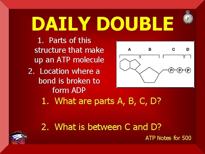 DAILY DOUBLE 1. Parts of this structure that make up an ATP molecule 2.