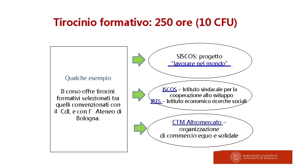 Tirocinio formativo: 250 ore (10 CFU) SISCOS: progetto “lavorare nel mondo” Qualche esempio Il